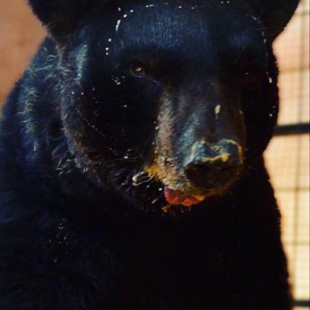 WhatsApp Image 2021-01-30 at 15.42.19 WhatsApp Image 2021-01-30 at 15.42.19